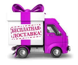 Бесплатная Доставка по Москве - фото 25853